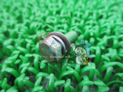 Ex305 oil pump bolt in - oil,