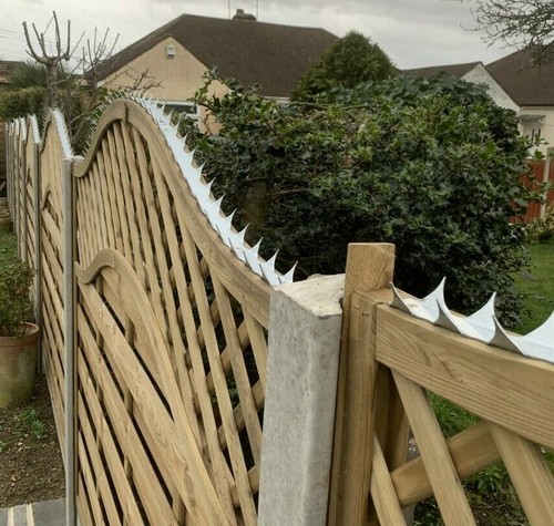 Anti climb security spikes - climb,