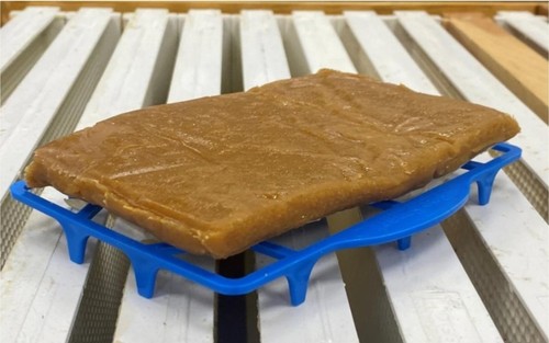 1lb hive alive pollen patty - pollen,