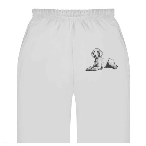 Bedlington terrier adult - 'bedlington,