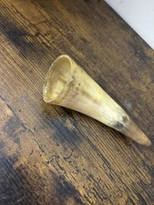 Vintage Ox Horn Collectible
