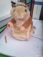 Kung Fu Hamster, Gemmy Industries Inc, 1975, STILL WORKING!