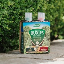 Westland Buxus Feed & Protect 2 in 1