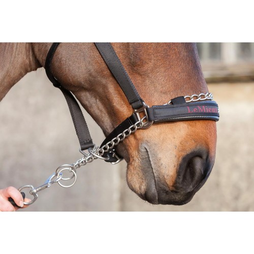 Lemieux prosafe headcollar - headcollar,