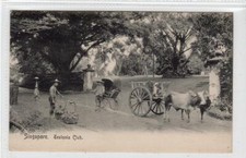TEUTONIA CLUB, SINGAPORE: Singapore postcard (C64451)