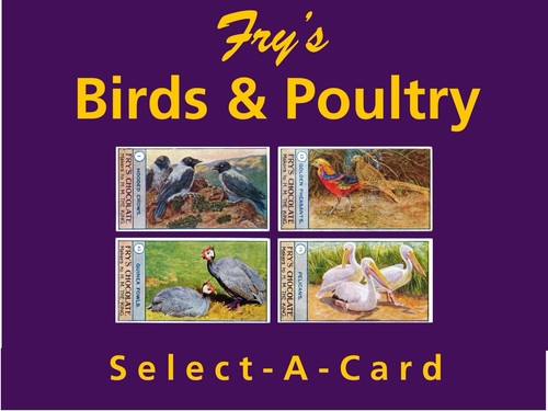 Fry birds poultry select - &,