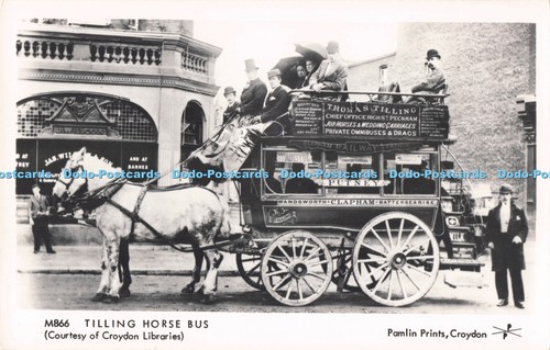 R711680 tilling horse bus - horse,