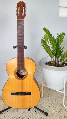 Vicente tatay tomas guitar - tatay,
