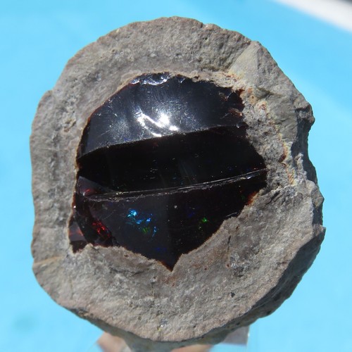 Precious black opal - precious,