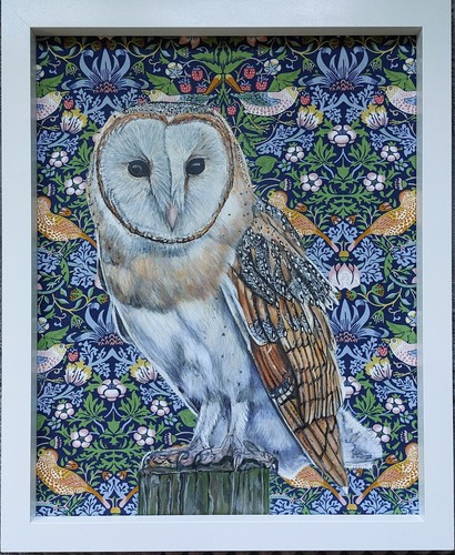 Original wildlife barn owl - barn,