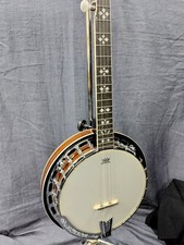Aria SB-40 5-String Resonator