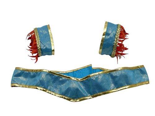 Disney pocahontas costume - disney,