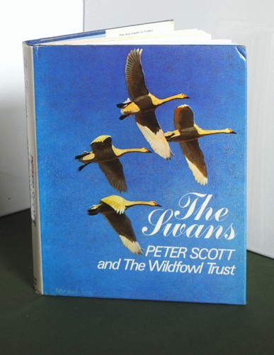 The swans peter - by,