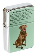 Chesapeake Bay Retriever Flip