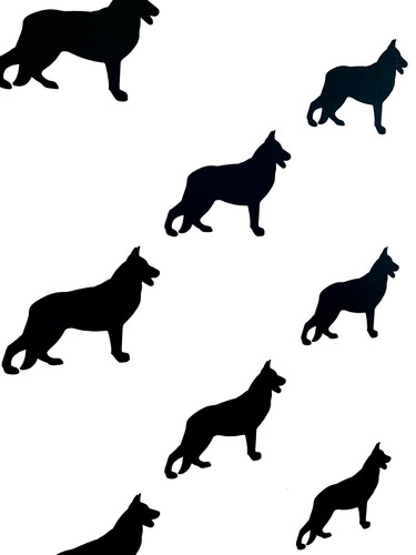 Alsatian dog german - alsatian,