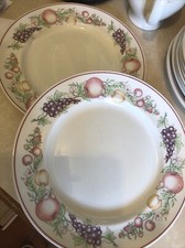 Boots Orchard Dinner Plates X 2  26cm