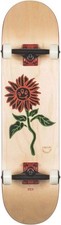 Globe G2 Bloom Skateboard