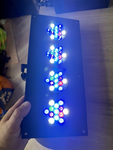 Hydra 52hd led marine - 52hd,