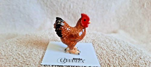 Little critterz hen rhode - little,