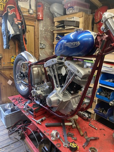 Harley triumph flat track - triumph,