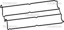 Rocker Cover Gasket TRISCAN