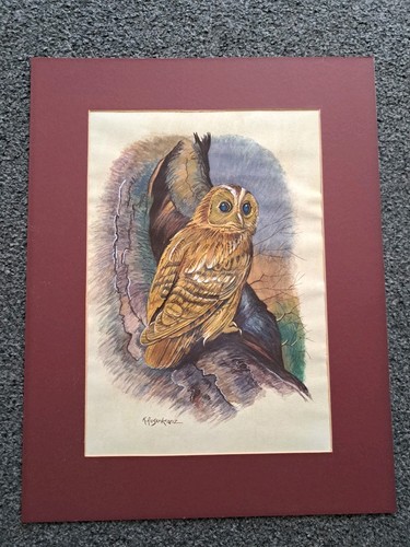 Original watercolour painting - watercolour,