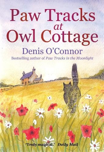 Paw tracks owl - at, cottage