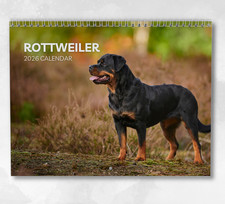 Rottweiler Calendar 2026