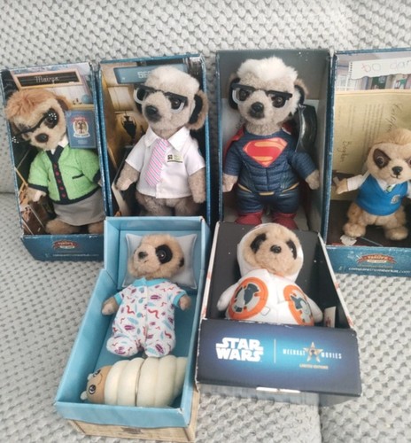 Compare the market - the, meerkat