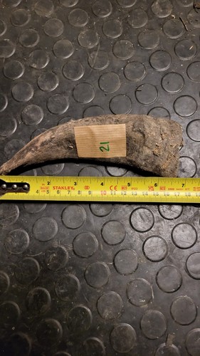 Old large horn craft - old,