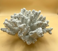 Decorative White Coral Like Ocean  Home Decor Display Piece Approx.  8”x 8" x 4