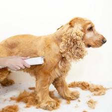 Dog Grooming Kit Pet Grooming