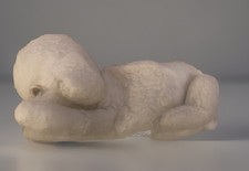 Vintage Dog Pyjama Case, Cream