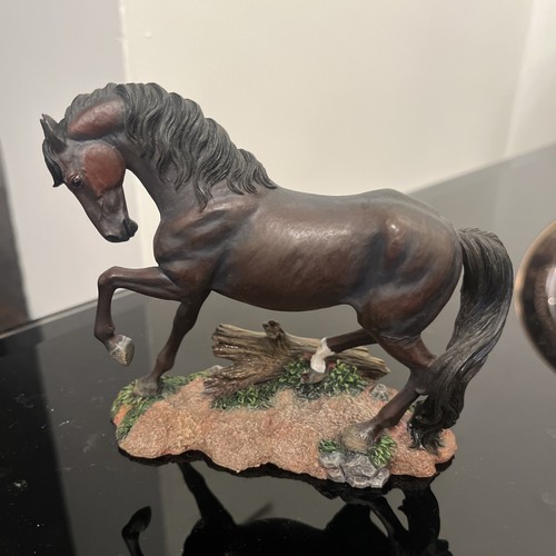 Noble steeds morgan - steeds, dark