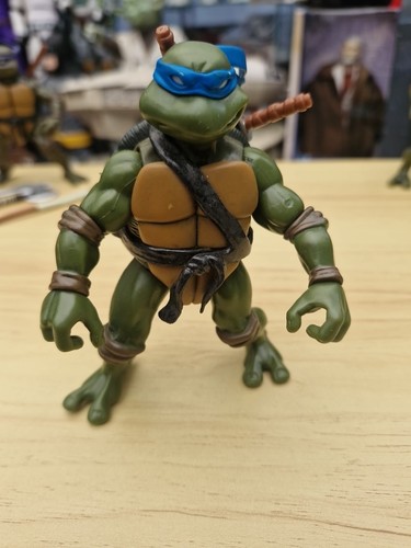 Teenage mutant ninja - teenage,