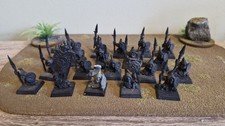 Warhammer Skull Pass Night Goblin Regiment Complete