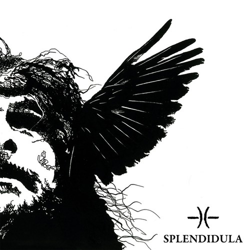 Splendidula somnus - (vinyl), 12"