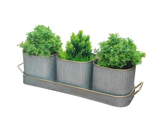 Set windowsill herb plant - set,