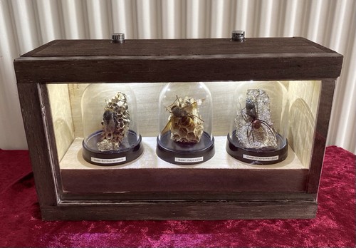Queen bee hornet forest - queen,