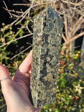 Large Rainforest Jasper