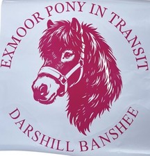 1 x Personalised Horsebox