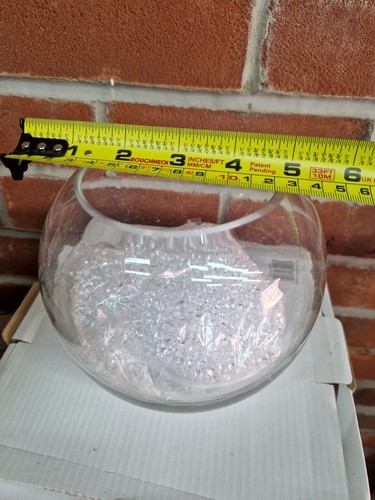 Clear glass fish - 6",