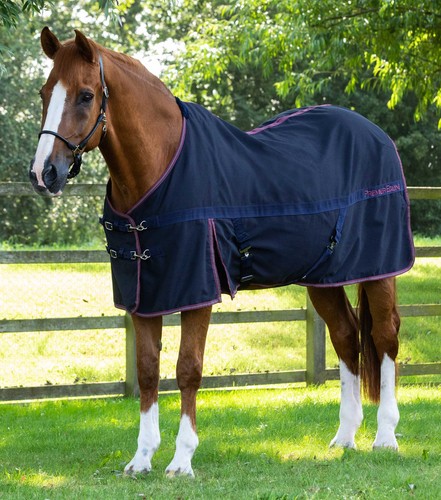 Premier equine barrasso - barrasso, stable