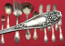 12 Pc 1913 ISABELLA / GRAPE