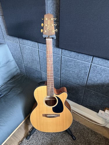 Takamine series - g,