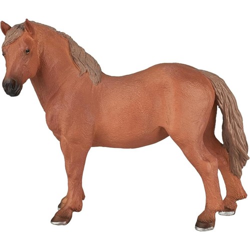 Mojo suffolk punch mare - suffolk,