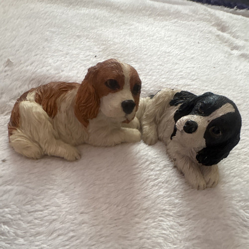 Regency 2007 cavalier - 2007, king