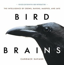 Bird Brains: The Intelligence