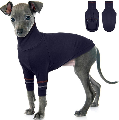 Greyhound dog sweater - greyhound, sweater,