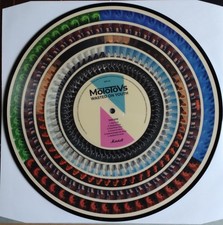 The Molotovs WASTED ON YOUTH